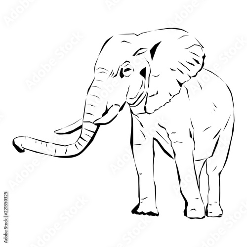 Elephant with tusks 