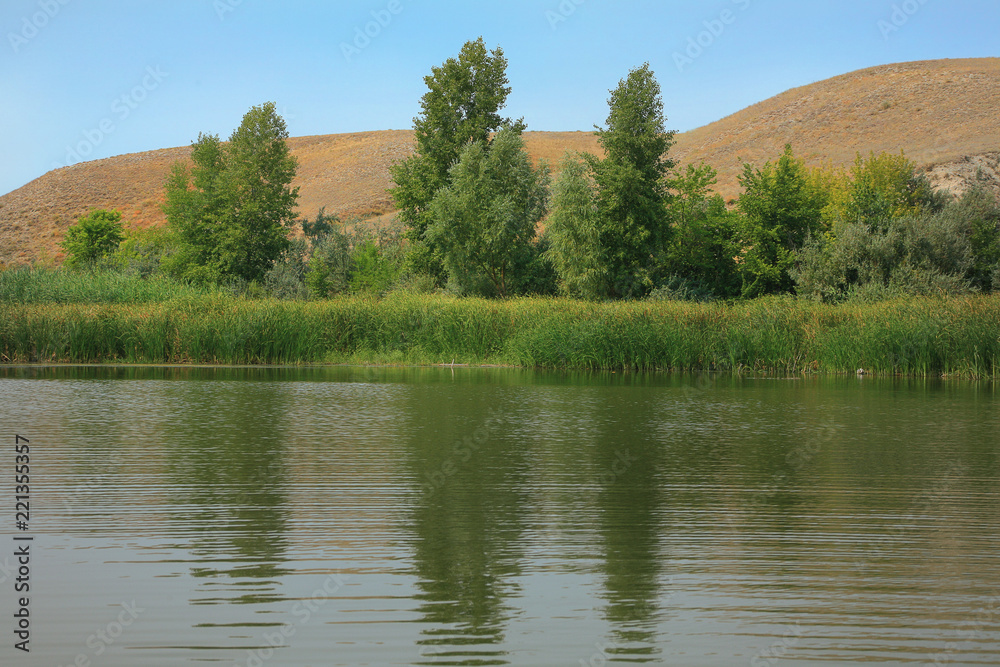 Fototapeta premium hilly river bank