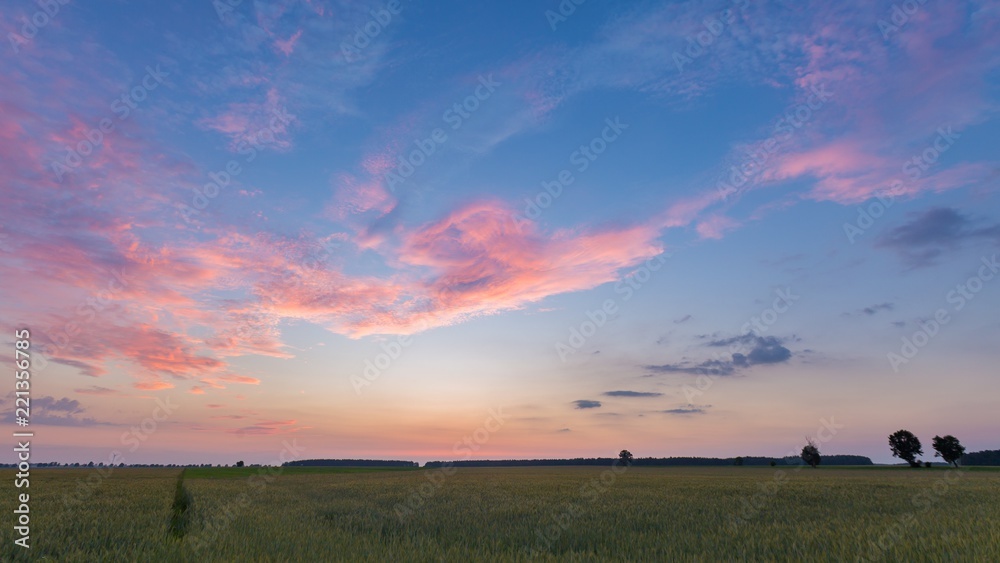 Beautiful sunset sky over ceral field in calm rural landscape