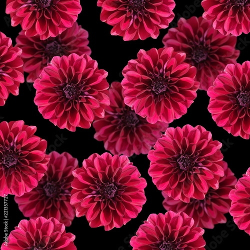 Fototapeta Naklejka Na Ścianę i Meble -  Beautiful floral background of burgundy dahlias
 