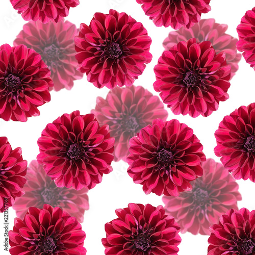 Fototapeta Naklejka Na Ścianę i Meble -  Beautiful floral background of burgundy dahlias
 