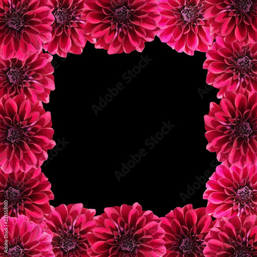 Fototapeta Naklejka Na Ścianę i Meble -  Beautiful floral background of burgundy dahlias
 