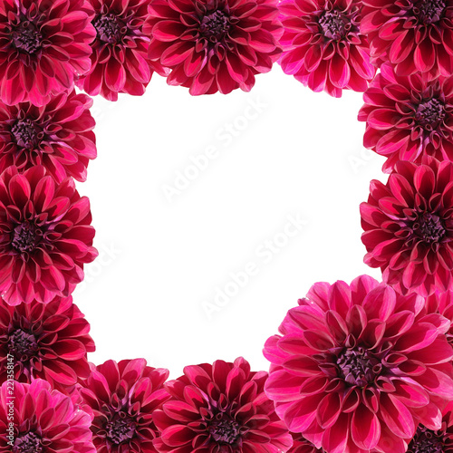 Fototapeta Naklejka Na Ścianę i Meble -  Beautiful floral background of burgundy dahlias
 
