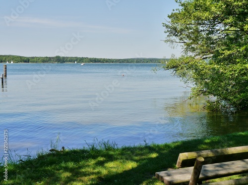 Ufer des Scharmützelsees