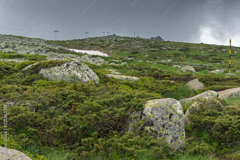 Amazing Panorama of Vitosha Mountain near Cherni Vrah Peak, Sofia City Region, Bulgaria Amazing Panorama of Vitosha Mountain near Cherni Vrah Peak, Sofia City Region, Bulgaria