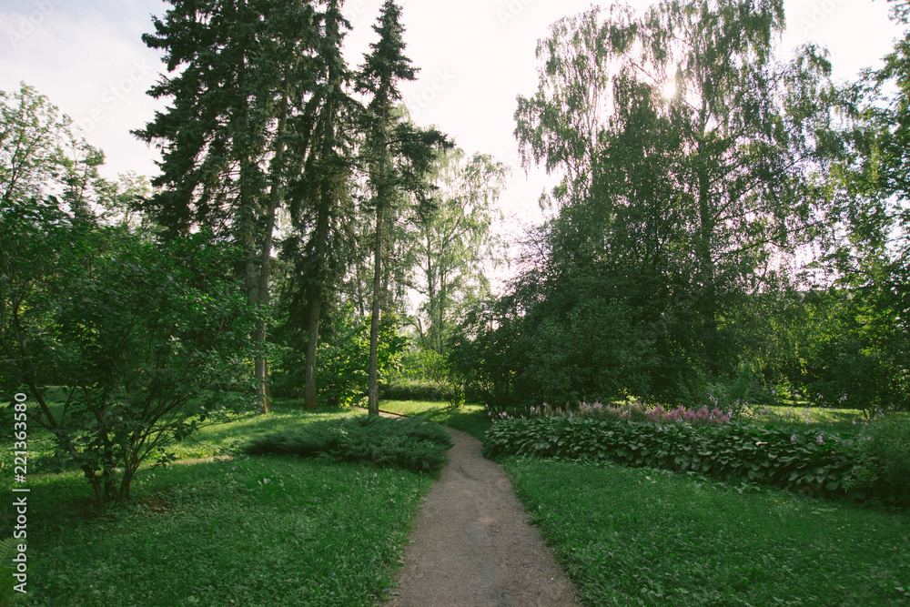 forest park outdoor plants green trees moscow