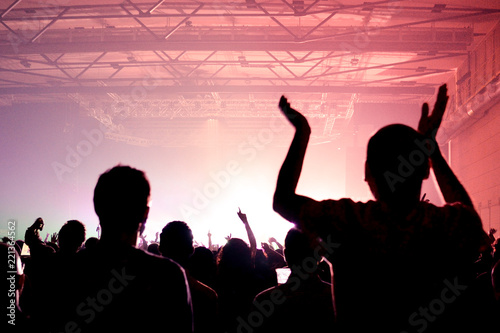 Crowd in a concert