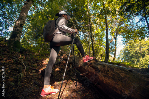 Active female hiker walking and exploring forest © Novak