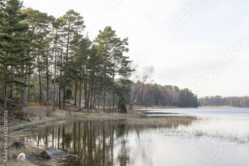 Stränder och skog i en vik ute på Ingarö utanför Stockholm photo