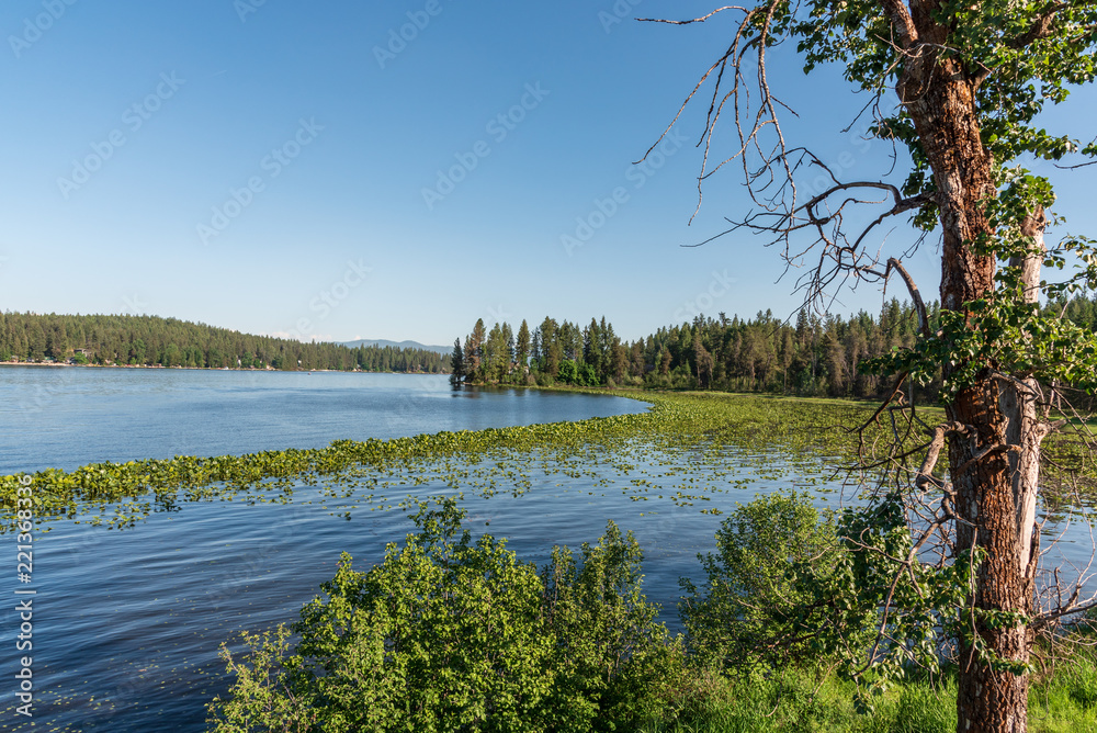 Newman Lake at Mckenzie Conservation Area. Newman Lake, Washington.