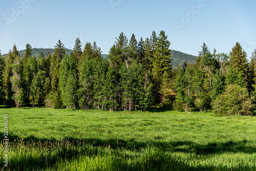 McKenzie Conservation Area, Newman Lake, Washington.