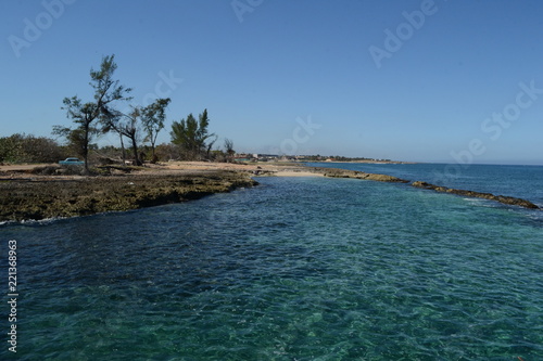 beach with palm trees