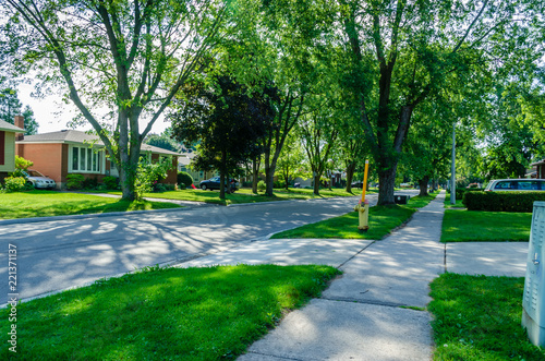 Shady residential tree-lined street