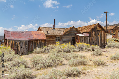 A Field of Sagebrush in the High Desert of Bodie Ghost Town