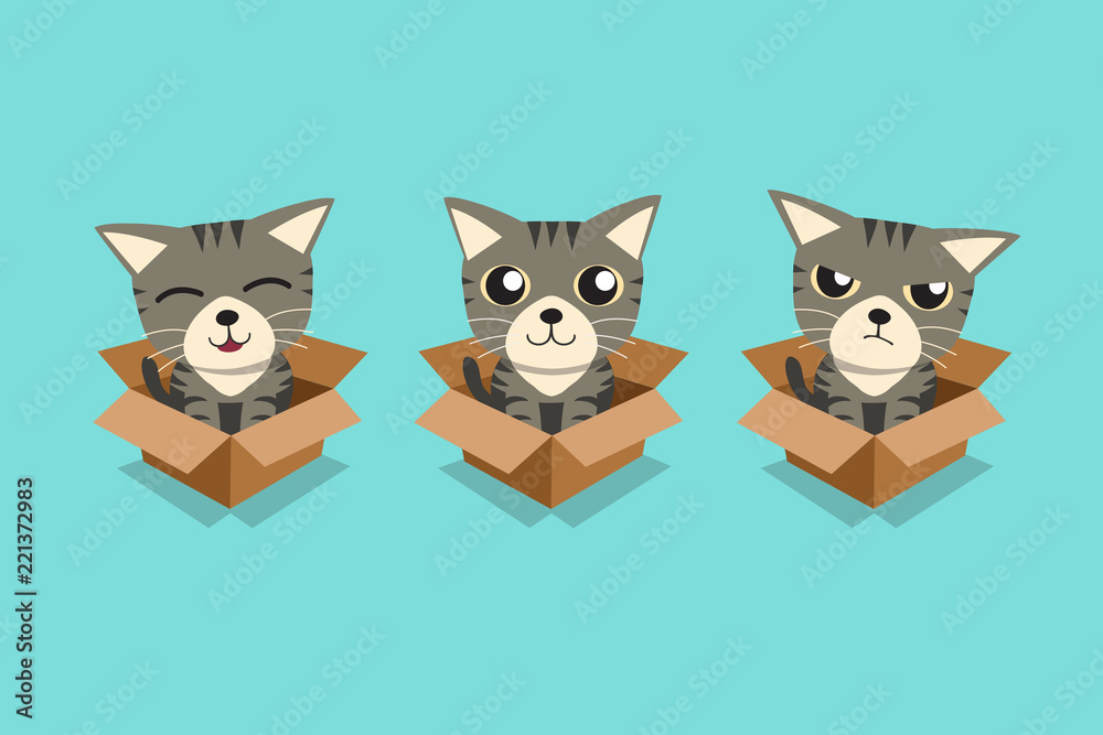 Fototapeta premium Vector cartoon illustration set of tabby cat in cardboard box for design.