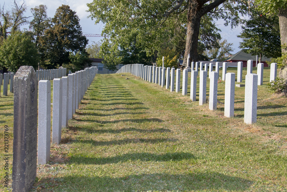 Fototapeta premium Halifax military cemetery Fort Massey, graveyard, summer, sacrifice, 