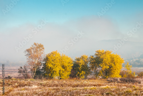 beautiful autumn landscape in the valley. fog above the meadow and yellow trees in sunlight. mountain is seen in the far distance
