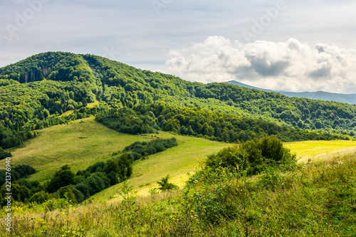 grassy meadow in hills. lovely nature scenery of early autumn in mountains