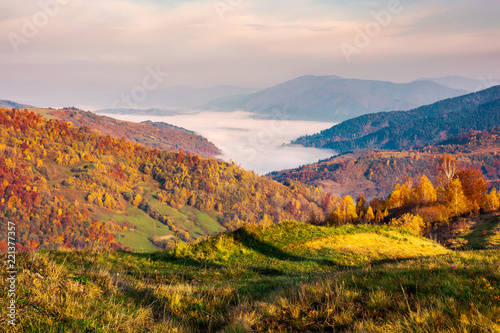 beautiful landscape at foggy autumn sunrise. red foliage on forested hills. cloud inversion in distant valley. beautiful season colors © Pellinni