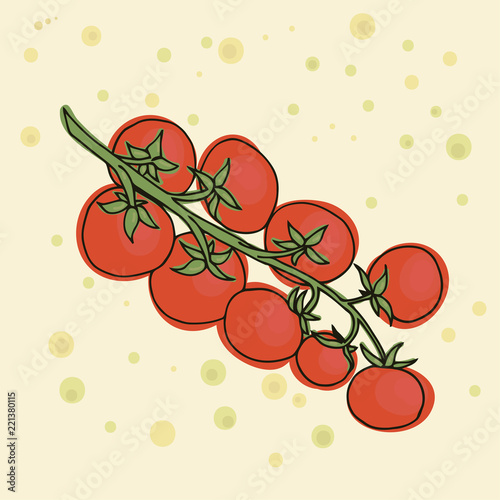 Tomatoes vector illustration. The branch of cherry vegetable. Vegetarian food.