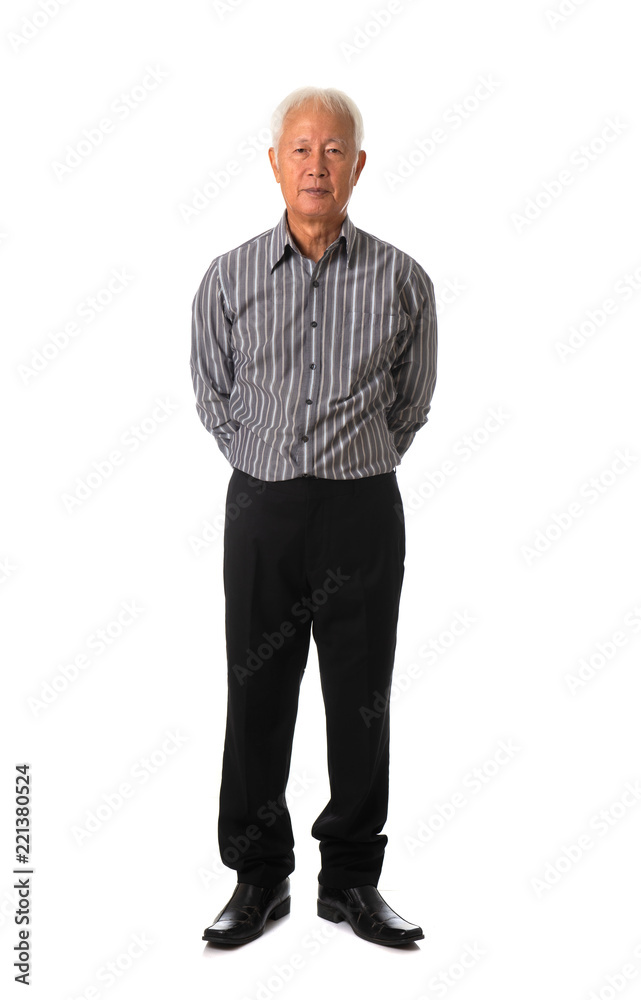asian senior business male full body asian senior business male full body