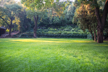 Summer lawn at sunset