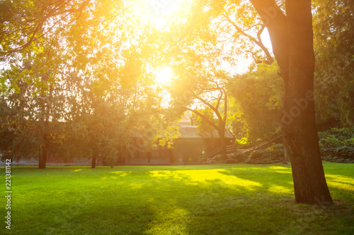 Summer lawn at sunset