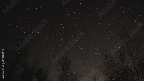 Time-lapse starry sky in the winter forest. Praesepe in the constellation Cancer. photo