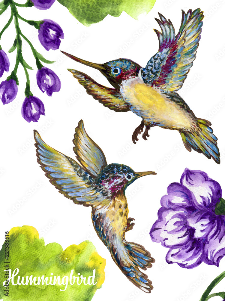 Obraz premium watercolor gouache illustration flying hummingbird isolated on white background