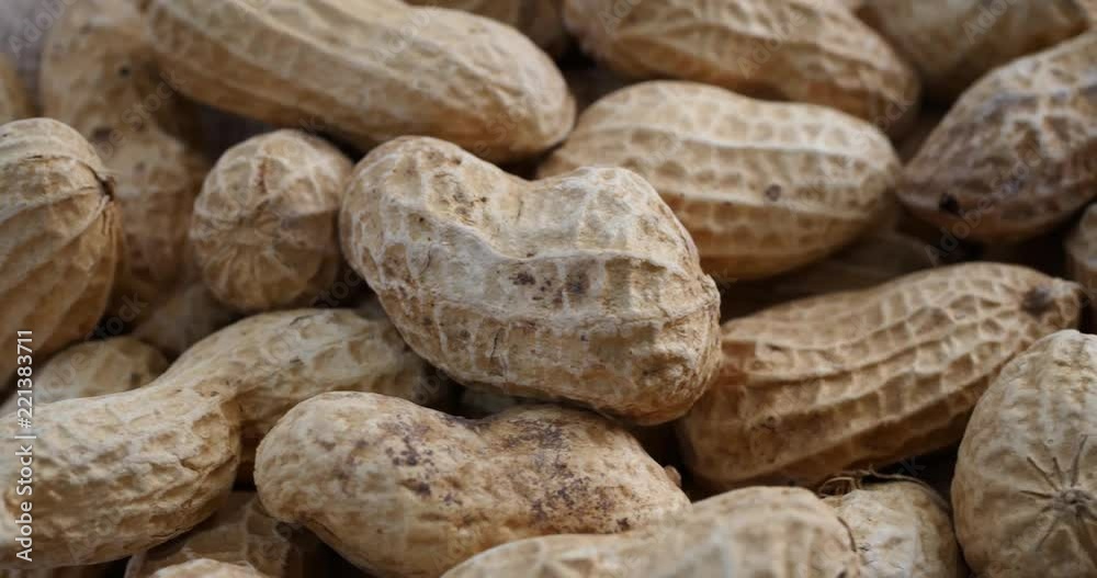 Peanut Peanut