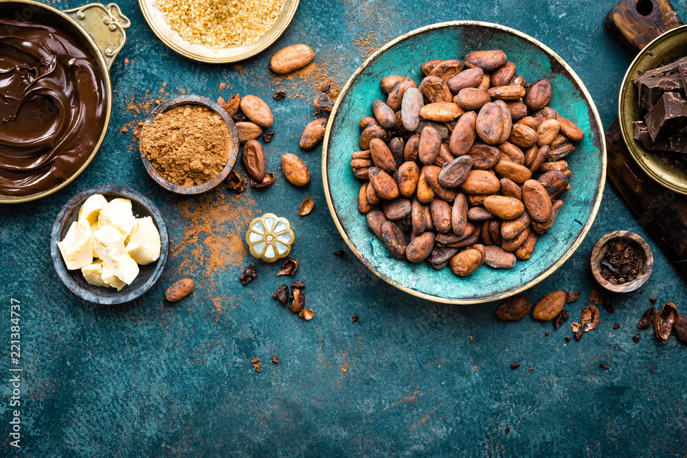 Cocoa. Cocoa beans, dark bitter chocolate chunks, cacao butter and cocoa powder. Cocoa background Cocoa. Cocoa beans, dark bitter chocolate chunks, cacao butter and cocoa powder. Cocoa background