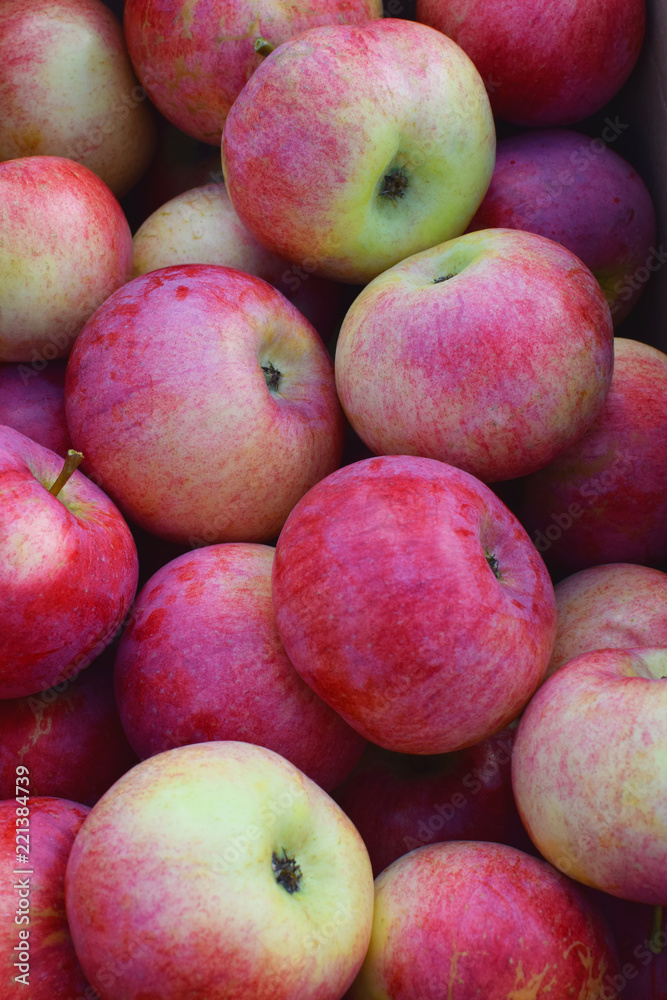 Stack of red yellow fresh apples as background. Freshly harvested sweet tasty fruit as healthy snack or for preparing delicious salad cooking or bakery. Stack of red yellow fresh apples as background. Freshly harvested sweet tasty fruit as healthy snack or for preparing delicious salad cooking or bakery.