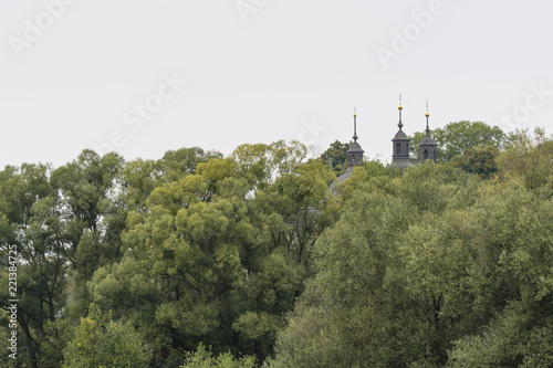 Golden toes of a church protruding from a forest.