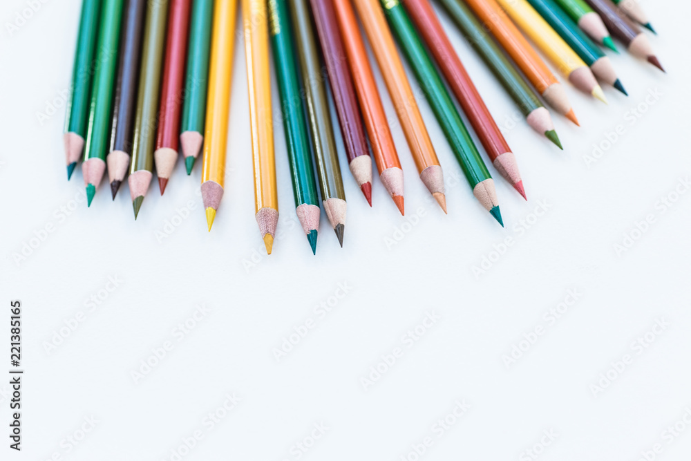 Set of colorful pencils on white background. Autumn color palette Back to school concept. Copy space for text