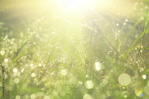Water drop on grass, bokeh And the sun after the rain.