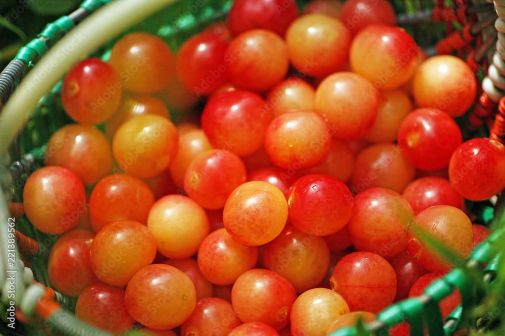 fresh yellow pink cherry in basket top view fresh yellow pink cherry in basket top view