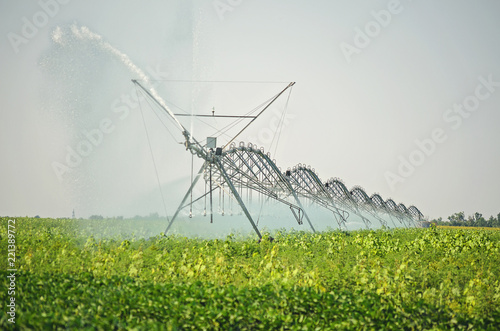 watering the fields