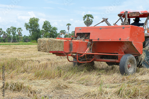 Rice straw machine with Dry rice straw to feed.