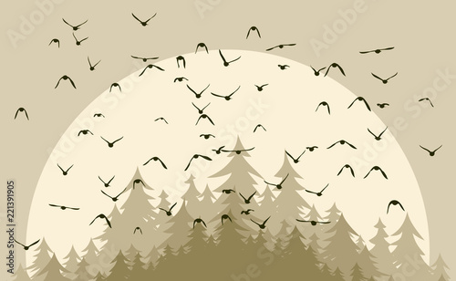 Flight of birds.