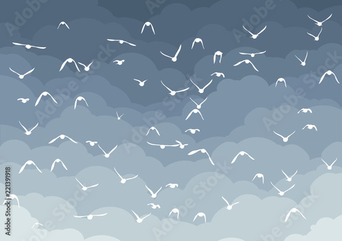 Sky with birds.