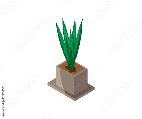 Isometric illustration of indoor plant in flower pot