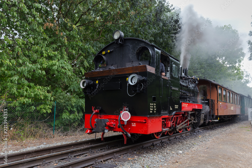 Fototapeta premium Rügen, Rasender Roland
