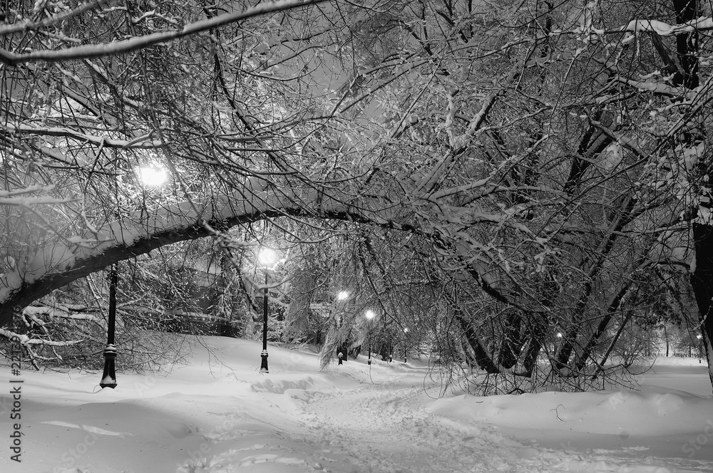 Path in the park in snow lit with streetlights