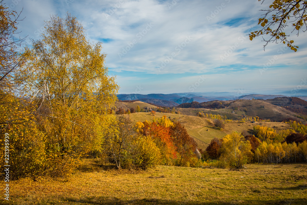 Autumn landscape, colorful forest