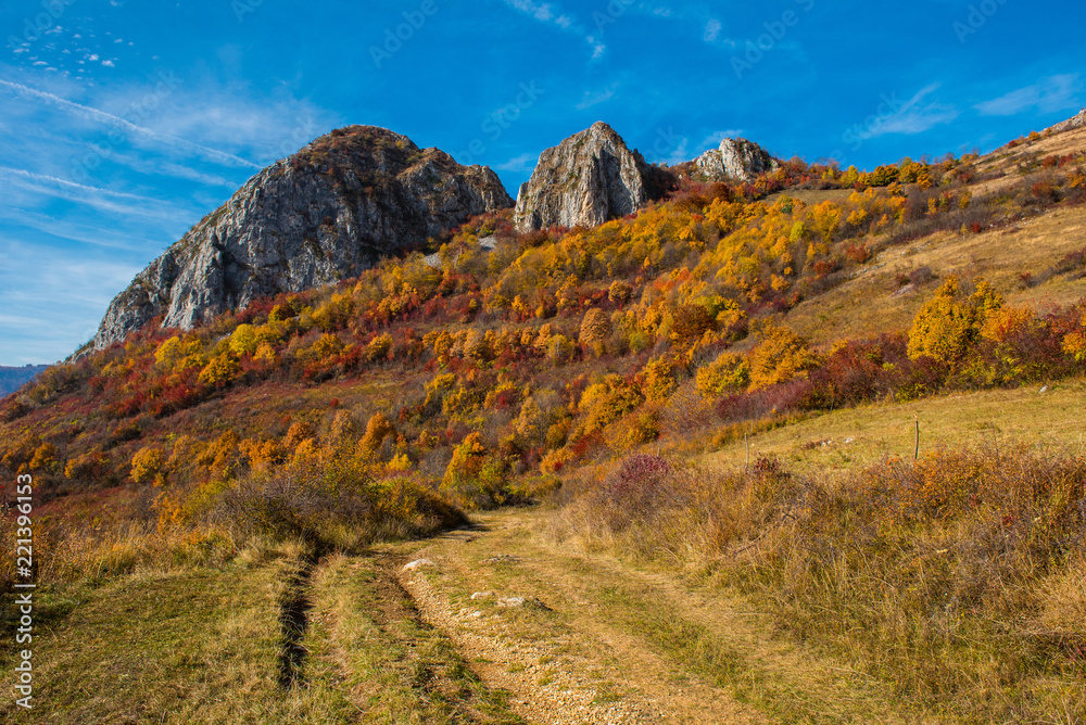 Fototapeta premium Colorful autumn landscape