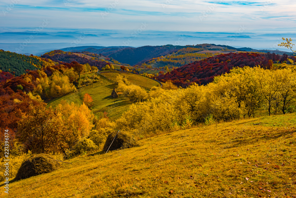 Fototapeta Autumn landscape, colorful forest