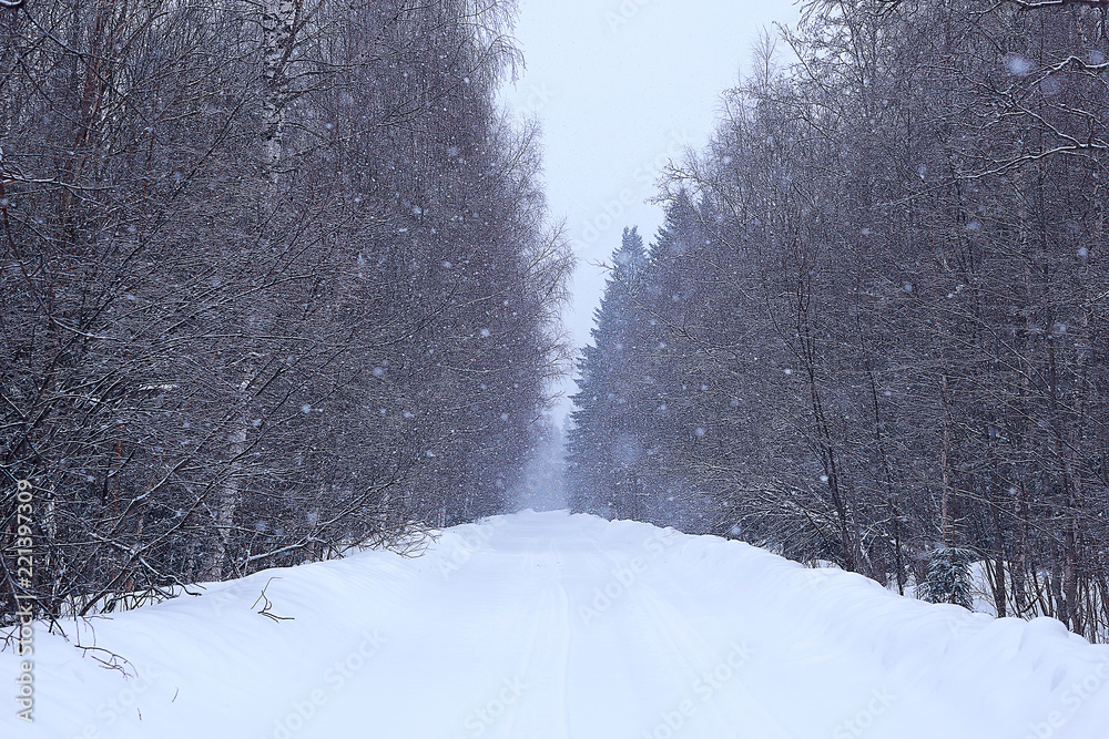 Fototapeta premium snow fog landscape snowfall / winter landscape cold seasonal weather, nature in winter form, foggy outside