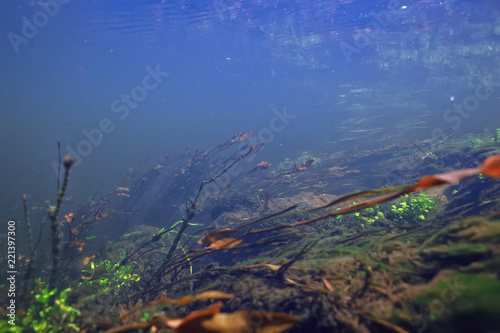 underwater mountain clear river   underwater photo in a freshwater river  fast current  air bubbles by water  underwater ecosystem landscape