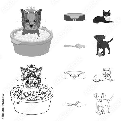 Lounger for a pet, clipping of claws in a vet clinic, lying dog, puppy with a ball. Vet clinic and pet,dog care set collection icons in outline,monochrome style vector symbol stock illustration web.