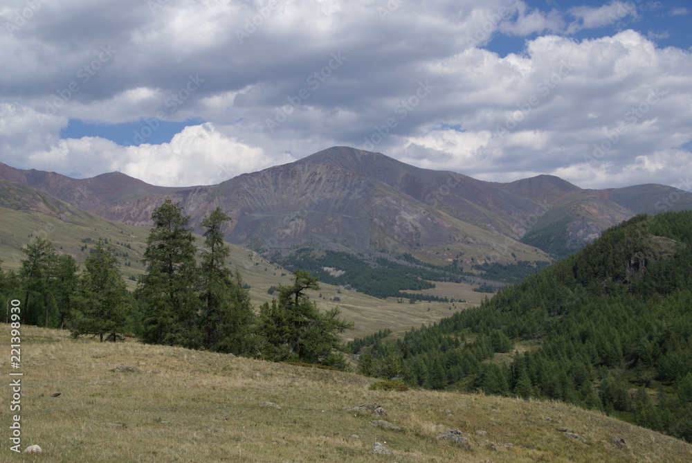 Fototapeta premium Altai mountains